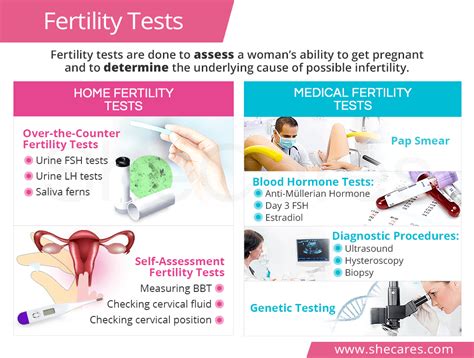 infertility package test|how to test for fertility.